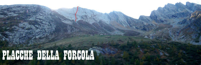 forcola